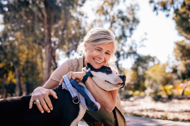 Innovet Pet Review: Is It The Right CBD Brand For Pets?