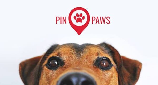 Pin Paws Review: Is It the Best Pet ID and Health Tracker Solution?