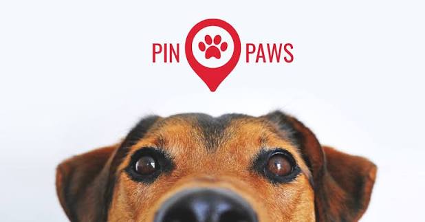 Pin Paws Review: Is It the Best Pet ID and Health Tracker Solution?